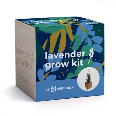 Lavender Grow Kit | Solid Wood Planter Cube | Eco-Friendly