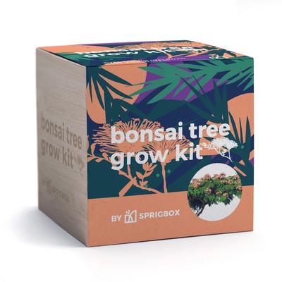Bonsai Tree Grow Kit | Solid Wood Planter Cube | Eco-Friendly