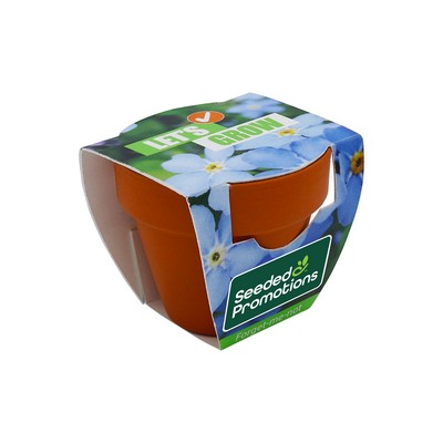 Mini Terracotta Grow Kit - Let's Grow