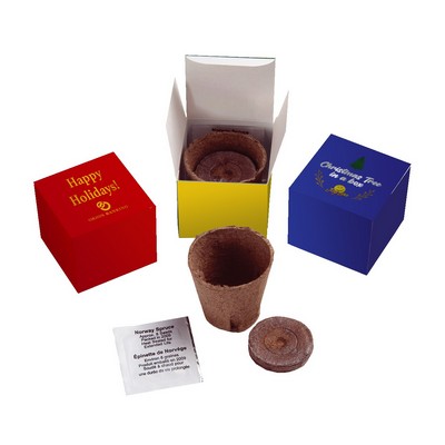 Norway Spruce In A Foil Box Kit