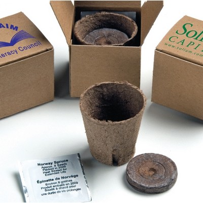 Tree In A Recycled Box Kit