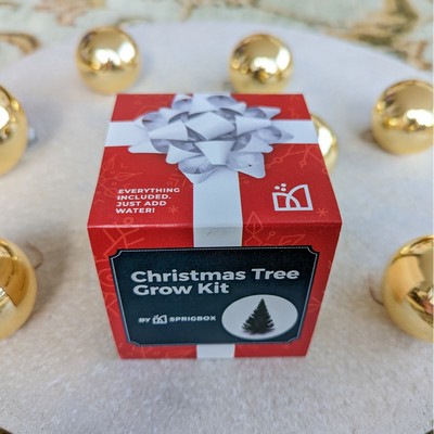 Christmas Tree Grow Kit | Solid Wood Planter Cube | Eco-Friendly